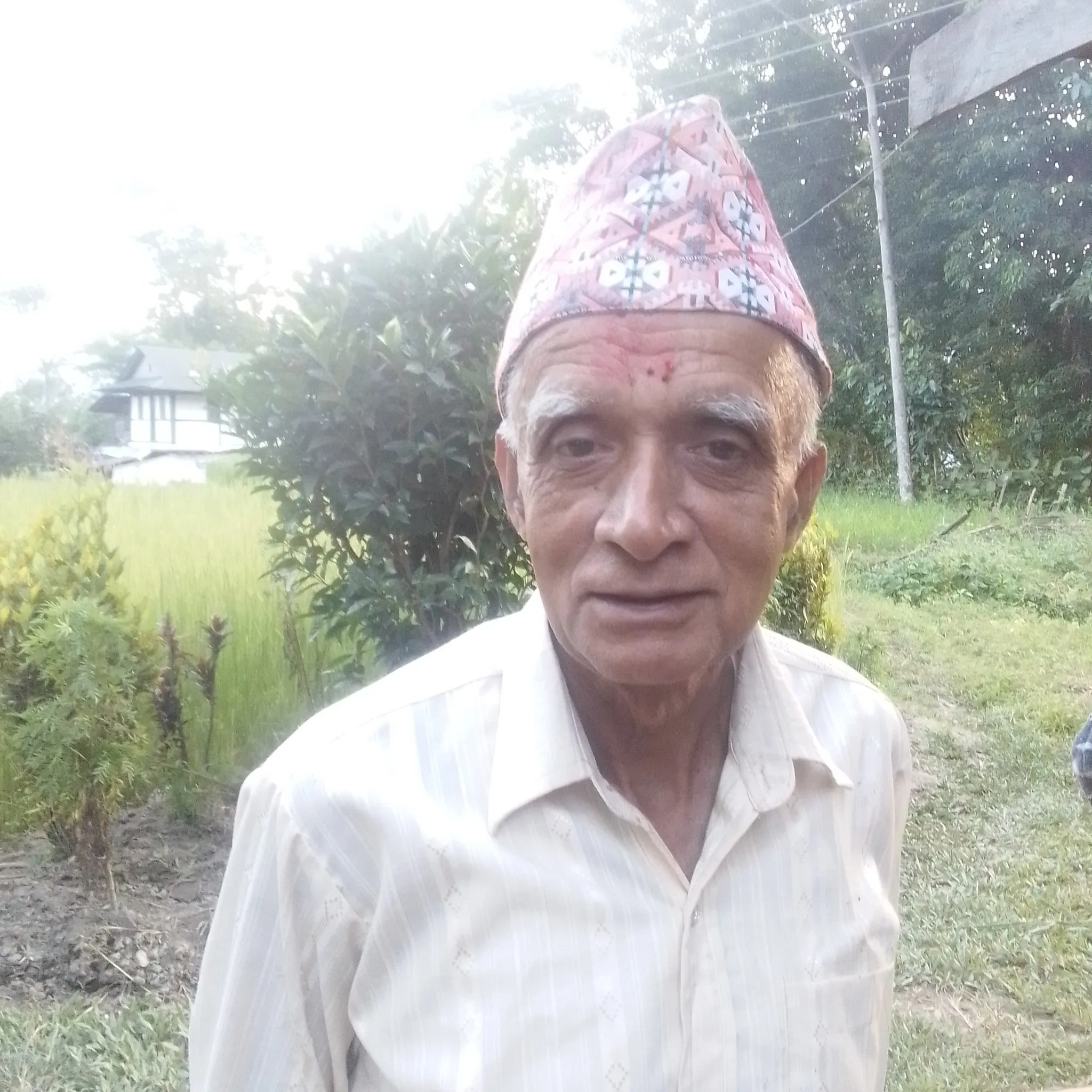 सुर्य लम्साल