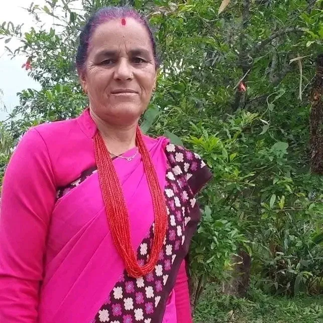 चित्रकला/सीता निरौला लम्साल
